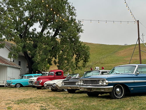 dinner event mini show