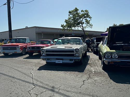 cars parked in the show